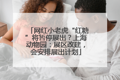 网红小老虎“红糖”将暂停展出？上海动物园：展区改建，会安排展出计划