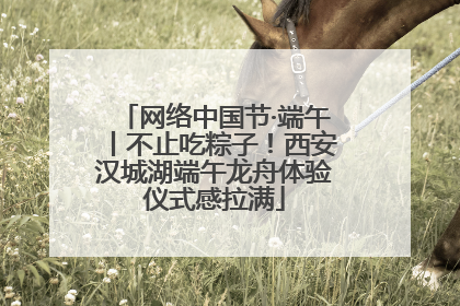 网络中国节·端午丨不止吃粽子！西安汉城湖端午龙舟体验仪式感拉满