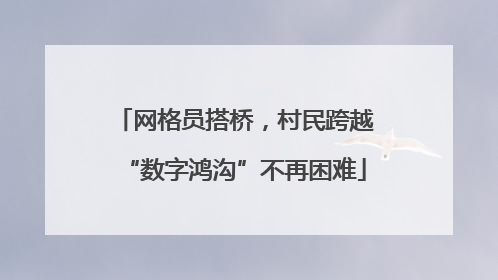 网格员搭桥，村民跨越“数字鸿沟”不再困难