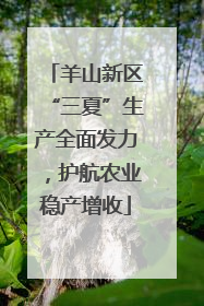 羊山新区“三夏”生产全面发力，护航农业稳产增收