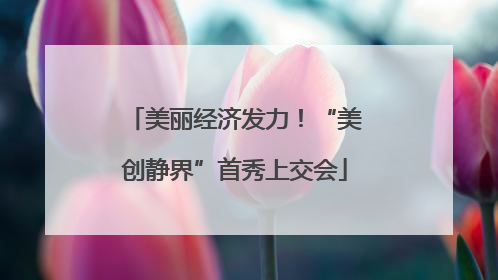 美丽经济发力！“美创静界”首秀上交会