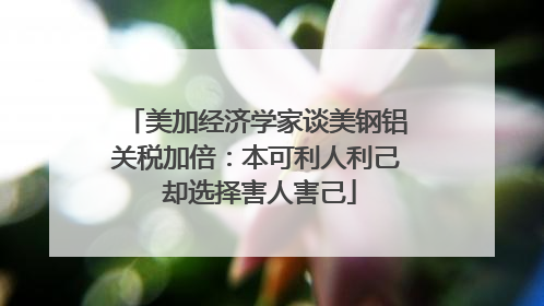 美加经济学家谈美钢铝关税加倍：本可利人利己 却选择害人害己