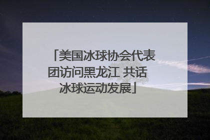 美国冰球协会代表团访问黑龙江 共话冰球运动发展