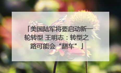 美国陆军将要启动新一轮转型 王明志：转型之路可能会“翻车”