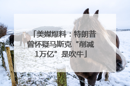 美媒爆料：特朗普曾怀疑马斯克“削减1万亿”是吹牛