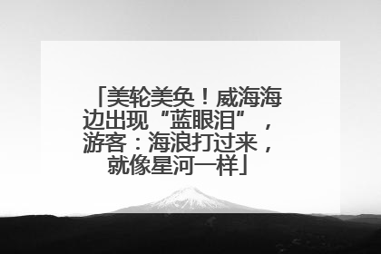 美轮美奂！威海海边出现“蓝眼泪”，游客：海浪打过来，就像星河一样