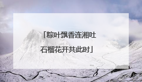 粽叶飘香连湘吐 石榴花开共此时