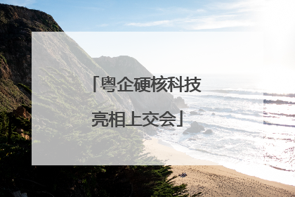 粤企硬核科技亮相上交会
