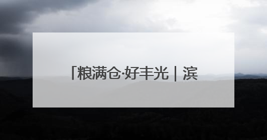 粮满仓·好丰光｜滨州邹平：冬小麦开镰收割 奏响夏日丰收曲