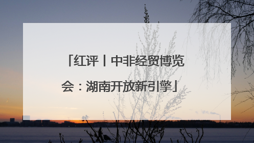 红评丨中非经贸博览会：湖南开放新引擎