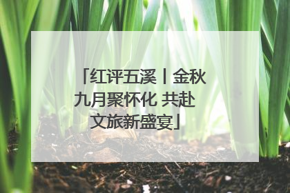 红评五溪丨金秋九月聚怀化 共赴文旅新盛宴