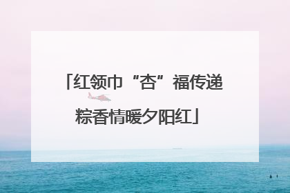 红领巾“杏”福传递 粽香情暖夕阳红