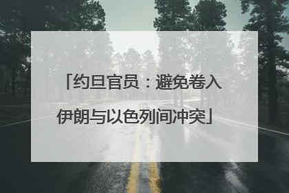 约旦官员：避免卷入伊朗与以色列间冲突