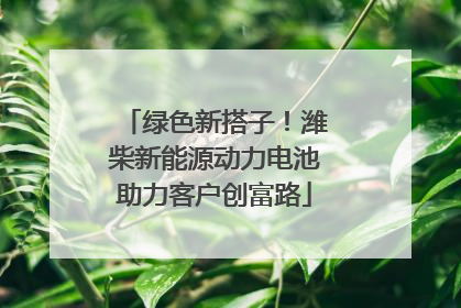 绿色新搭子！潍柴新能源动力电池助力客户创富路