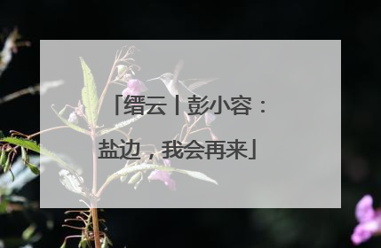 缙云丨彭小容：盐边，我会再来