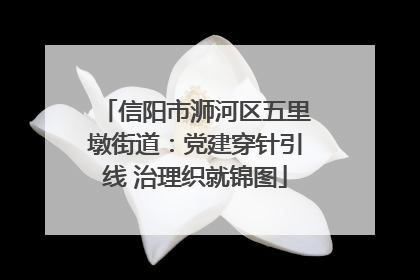 信阳市浉河区五里墩街道：党建穿针引线 治理织就锦图