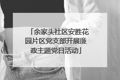 余家头社区安胜花园片区党支部开展廉政主题党日活动