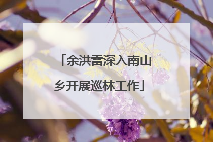 余洪雷深入南山乡开展巡林工作