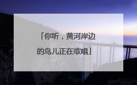 你听，黄河岸边的鸟儿正在歌唱