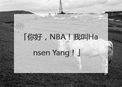 你好，NBA！我叫Hansen Yang！