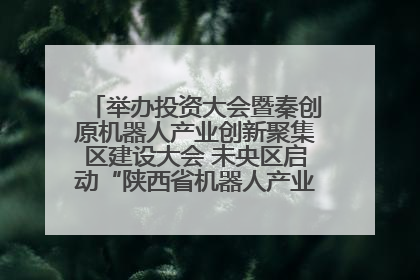 举办投资大会暨秦创原机器人产业创新聚集区建设大会 未央区启动“陕西省机器人产业聚集区”建设