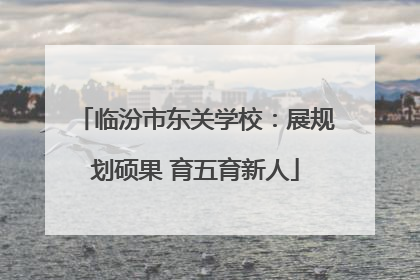 临汾市东关学校：展规划硕果 育五育新人