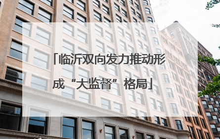 临沂双向发力推动形成“大监督”格局