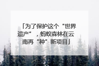 为了保护这个“世界遗产”，蚂蚁森林在云南再“种”新项目