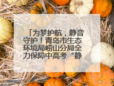 为梦护航，静音守护！青岛市生态环境局崂山分局全力保障中高考“静环境”
