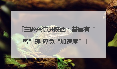 主题采访进陕西：基层有“智”理 应急“加速度”