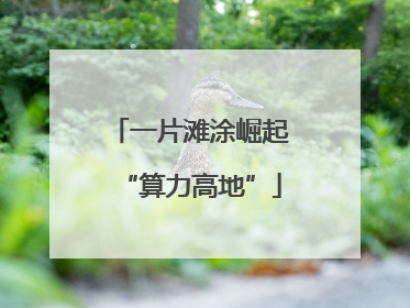 一片滩涂崛起“算力高地”