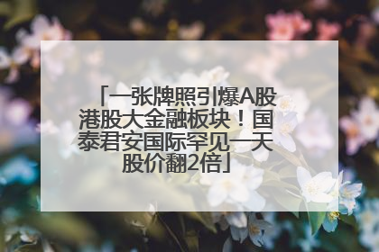 一张牌照引爆A股港股大金融板块！国泰君安国际罕见一天股价翻2倍