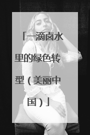 一滴卤水里的绿色转型（美丽中国）
