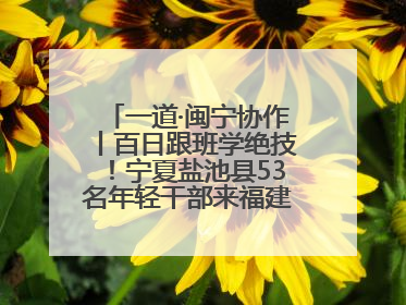 一道·闽宁协作丨百日跟班学绝技！宁夏盐池县53名年轻干部来福建取“真经”