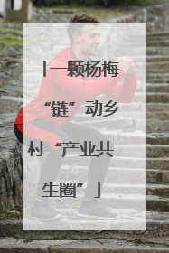 一颗杨梅“链”动乡村“产业共生圈”
