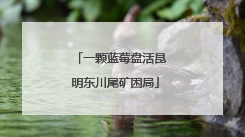 一颗蓝莓盘活昆明东川尾矿困局