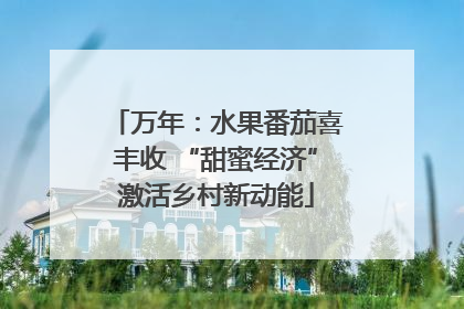 万年：水果番茄喜丰收 “甜蜜经济”激活乡村新动能
