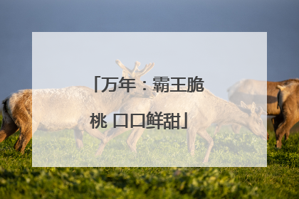 万年：霸王脆桃 口口鲜甜