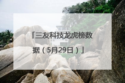 三友科技龙虎榜数据（5月29日）