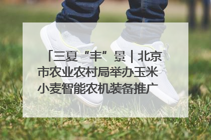 三夏“丰”景｜北京市农业农村局举办玉米小麦智能农机装备推广“田间日”活动