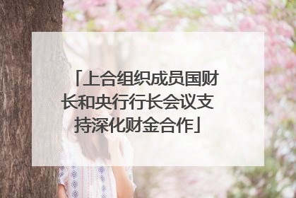 上合组织成员国财长和央行行长会议支持深化财金合作