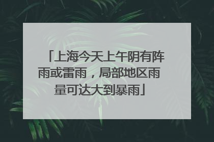 上海今天上午阴有阵雨或雷雨，局部地区雨量可达大到暴雨