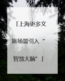 上海更多文旅场景引入“智慧大脑”