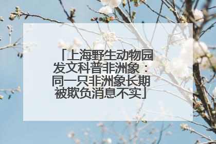 上海野生动物园发文科普非洲象：同一只非洲象长期被欺负消息不实