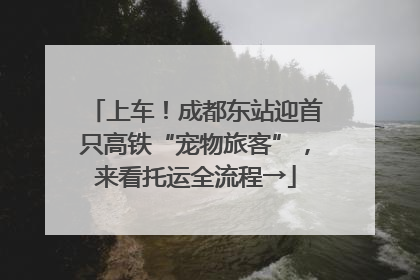 上车！成都东站迎首只高铁“宠物旅客”，来看托运全流程→