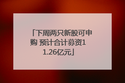 下周两只新股可申购 预计合计募资11.26亿元