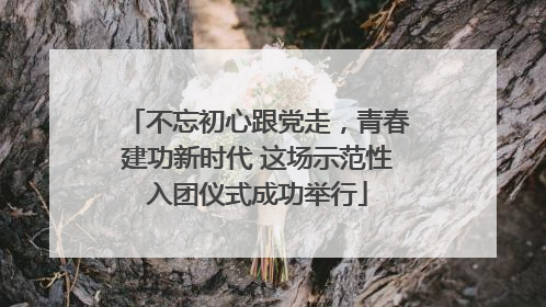 不忘初心跟党走，青春建功新时代 这场示范性入团仪式成功举行