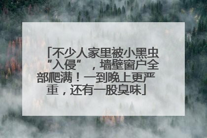 不少人家里被小黑虫“入侵”，墙壁窗户全部爬满！一到晚上更严重，还有一股臭味