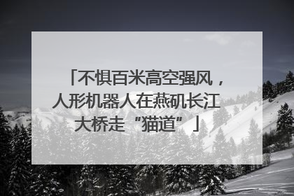不惧百米高空强风，人形机器人在燕矶长江大桥走“猫道”