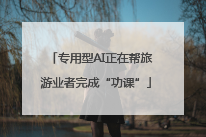 专用型AI正在帮旅游业者完成“功课”